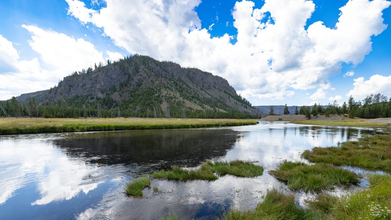 A calm river winds through an open meadow toward a forested rocky butte in what appears to be Yellowstone National Park, with cumulus clouds reflected in the…