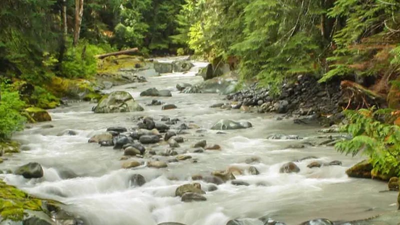 Ohanapecosh Group Campground
