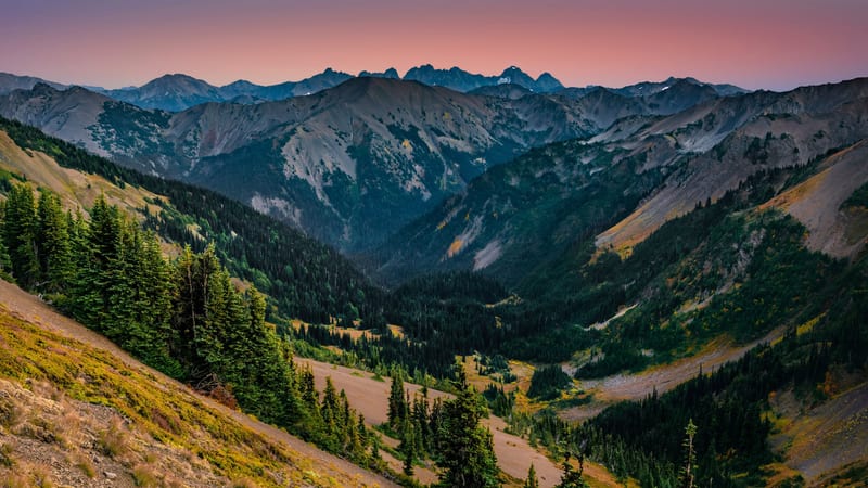 A wide glacial valley lined with subalpine fir trees and autumn-colored meadows stretches toward jagged rocky peaks beneath a pink twilight sky in the North …