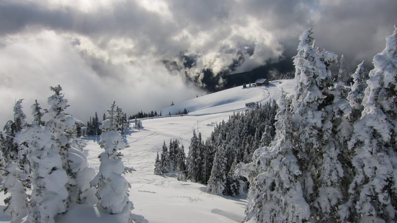 A snow-covered mountain slope at a ski resort or winter recreation area features heavily laden evergreen trees in the foreground and a groomed or tracked run…