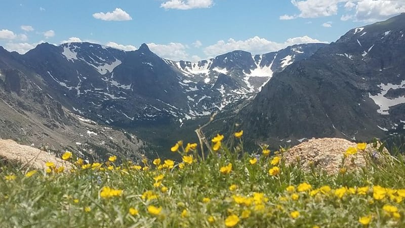 Rocky Mountain National Park in Summer Tour from Denver