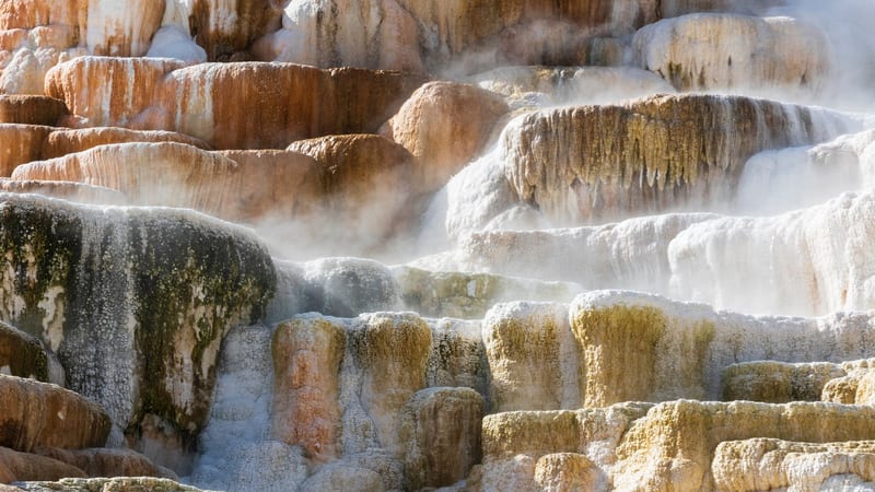 Mammoth Hot Springs Terraces