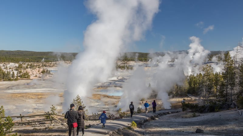 A wide hydrothermal basin at Yellowstone National Park with multiple geysers and hot springs venting large plumes of white steam into a clear blue sky.