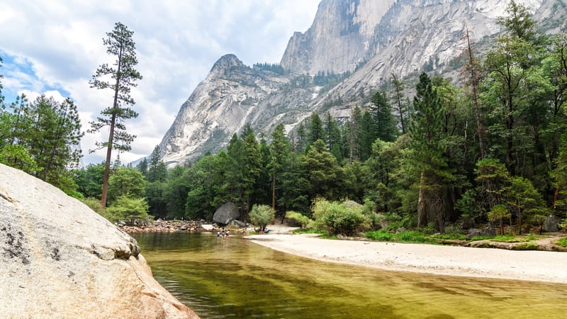 A shallow, clear river curves past a sandy bank lined with pine trees, with towering granite cliff faces rising behind the forest in Yosemite National Park.