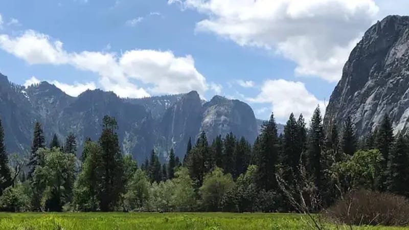 Lower Pines Campground