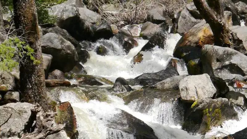 Bridalveil Creek Campground