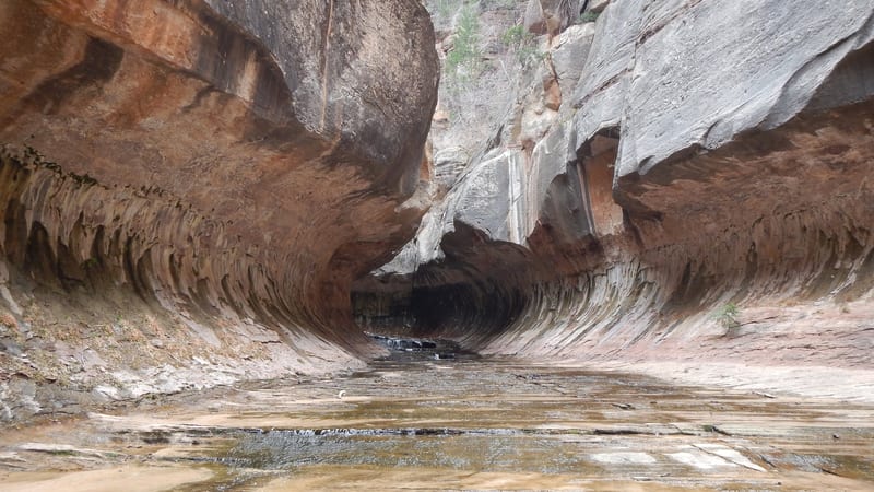 A narrow slot canyon with smooth, wave-like sandstone walls curved into a tunnel shape, with shallow water flowing along the canyon floor.