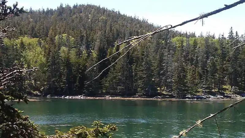 Duck Harbor Campground