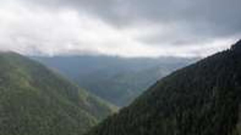Water Journey Overlook
