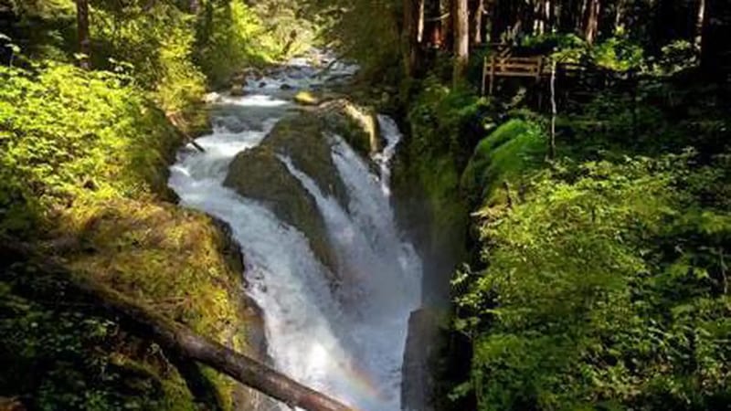 Salmon Cascades Overlook