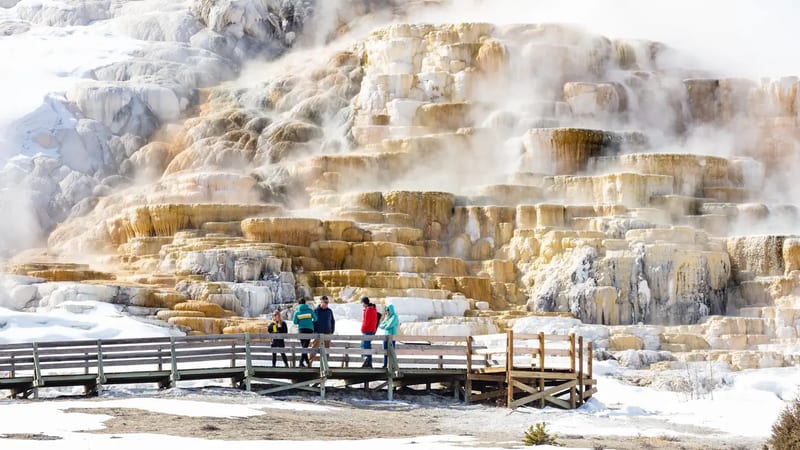 Mammoth Campground (Yellowstone)