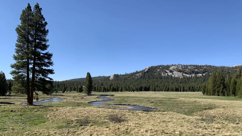 Tuolumne Horse Campsites