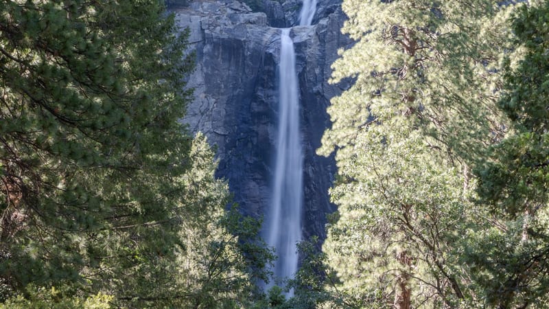 A snow-covered Yosemite Valley in winter, with frost-dusted conifers in the foreground and a tall waterfall cascading between towering granite cliffs partial…