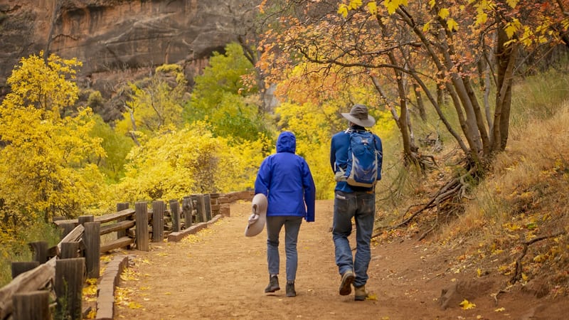 A paved riverside trail winding along the Zion Canyon floor beneath towering red sandstone cliffs