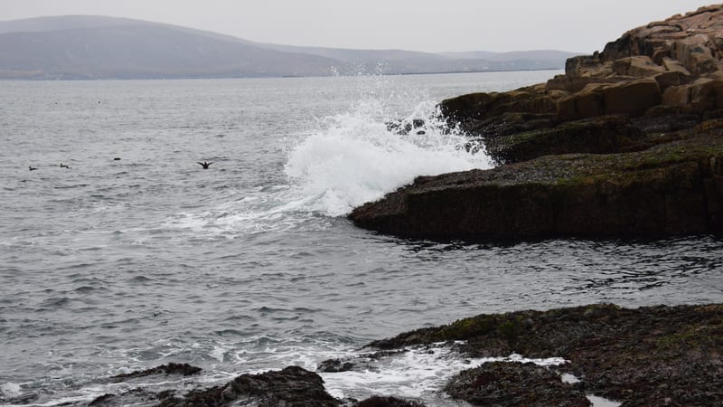 Schoodic Point