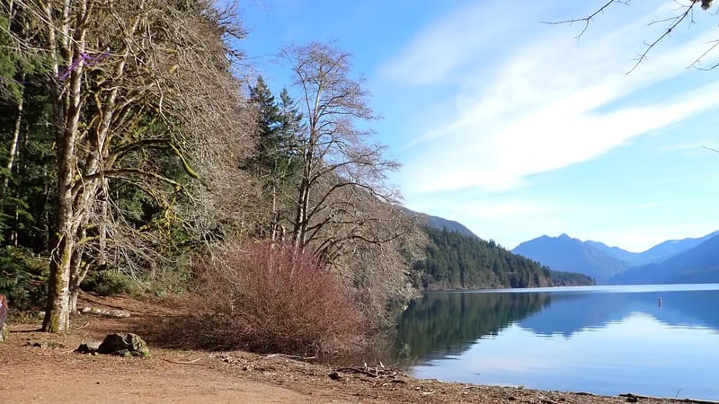 Lake Crescent Scenic Pull-Off