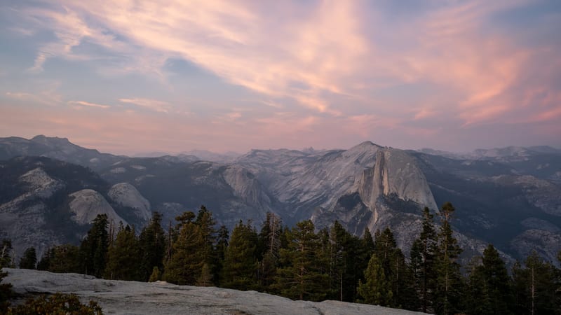 Half Dome's sheer granite face rises above Yosemite Valley, viewed from an elevated granite overlook lined with conifers.