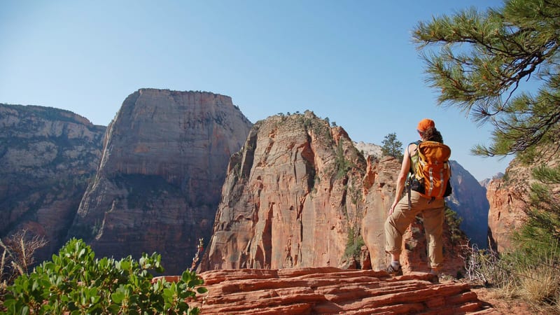 A hiker looking out over a sweeping Zion Canyon vista from a layered sandstone overlook