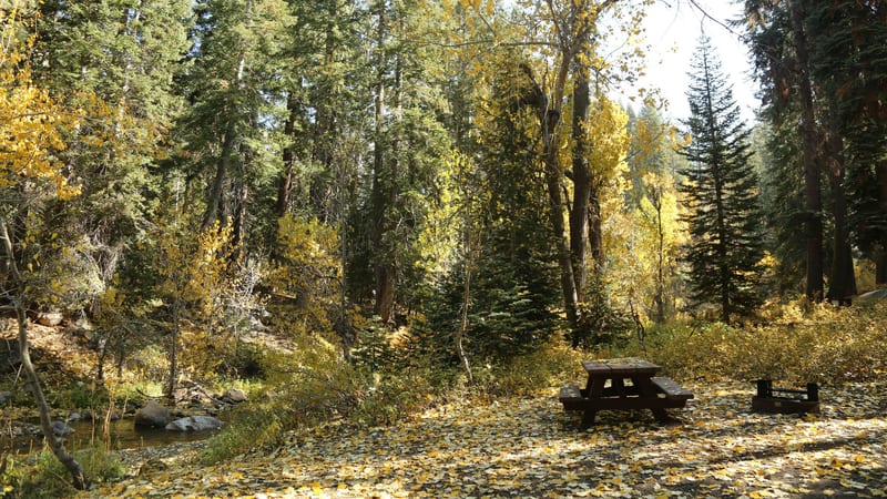 Cold Springs Campground